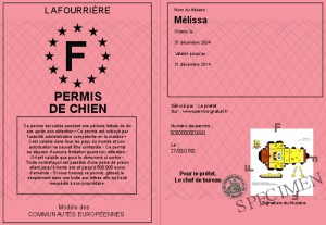 700-3661-Permis+de+chien