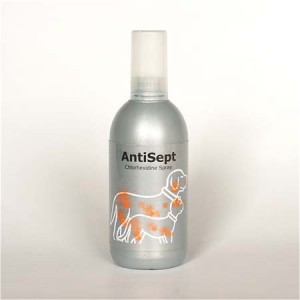 antisept