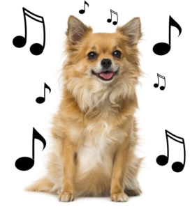 chien-musique