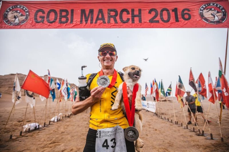 chien-errant-marathon-gobi