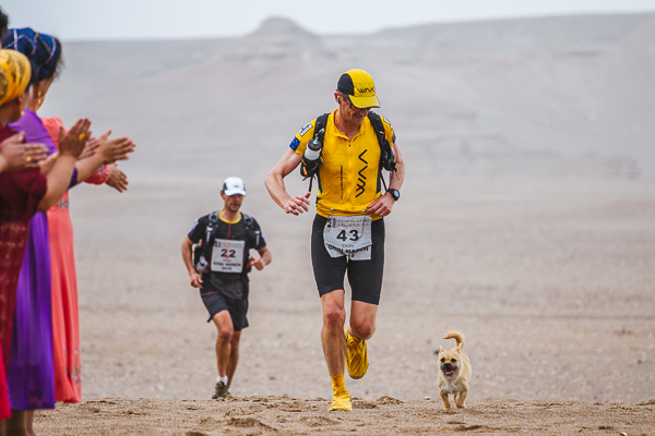 chien-errant-marathon-gobi1