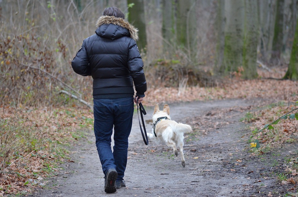 promener son chien