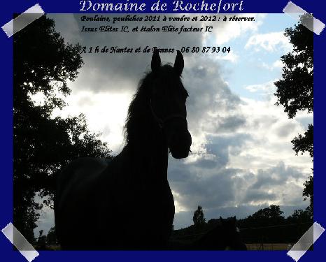 Domaine de Rochefort